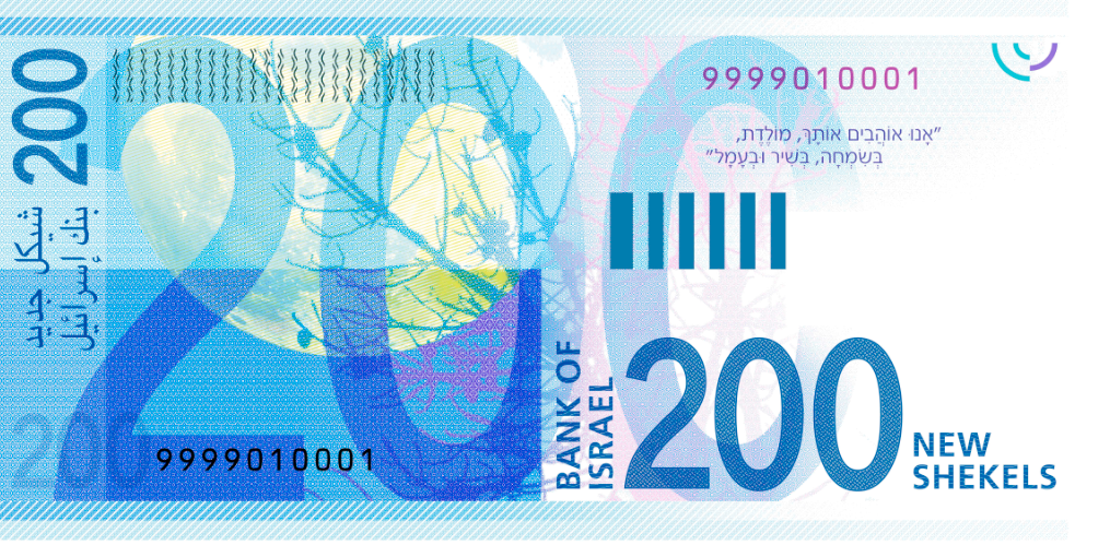 גב שטר 200 ש"ח