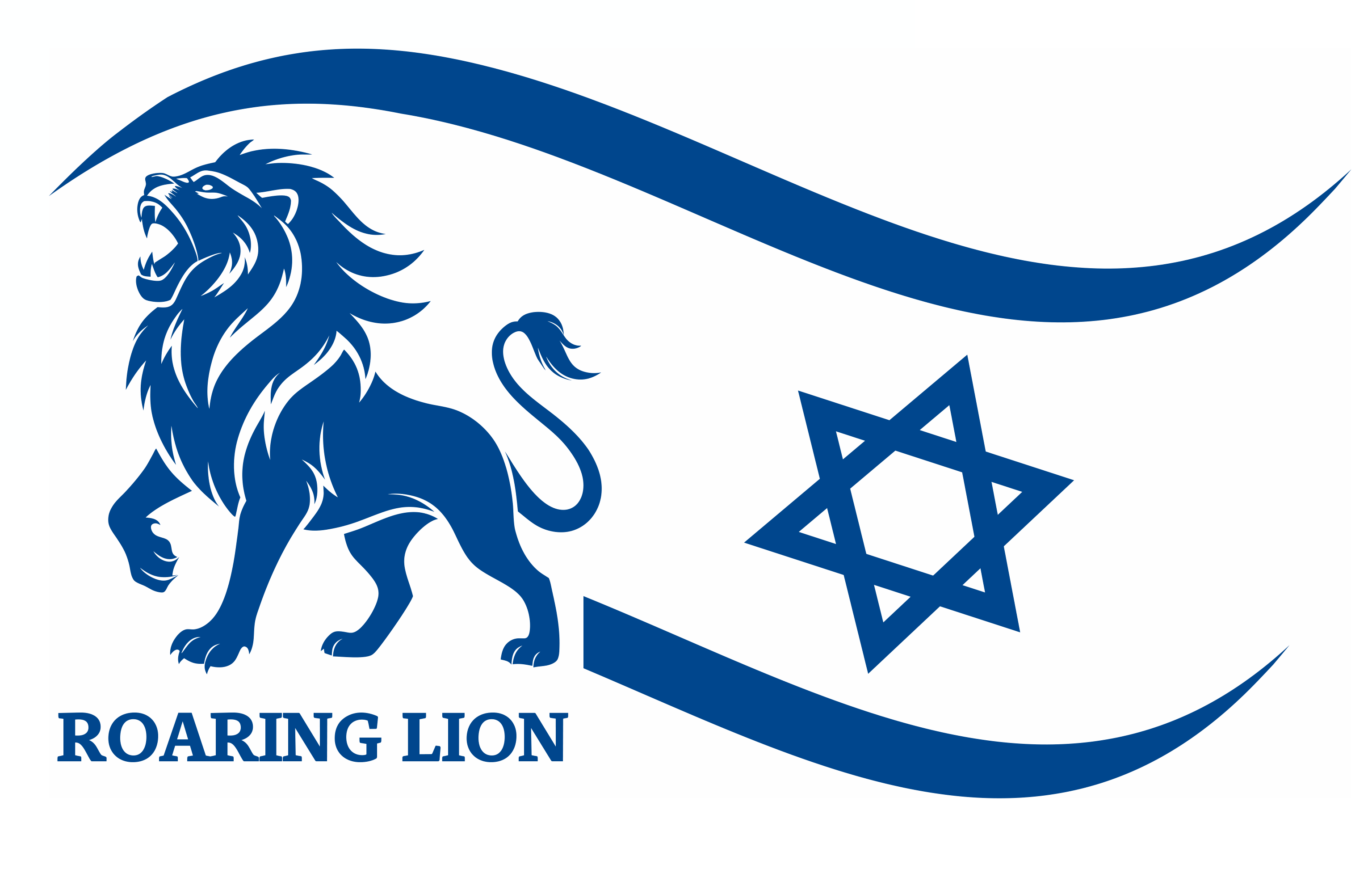 Information and updates: Operation Roaring Lion